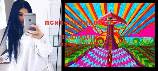 прущая мука Аркадак